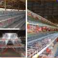 firm quality chicken cage or hencoop for sale